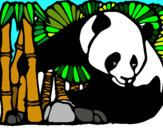 Dibuix Ós Panda i Bambú pintat per ARIADNA