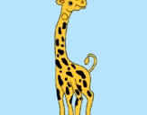 Dibuix Girafa pintat per judit roch