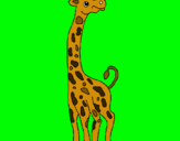 Dibuix Girafa pintat per bernat