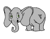 Dibuix Elefant petit pintat per lala