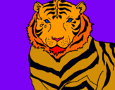 Dibuix Tigre pintat per ROGER