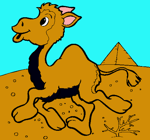 Dibuix Camell pintat per Guillem Sanahuja