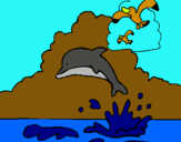 Dibuix Dofí i gavina pintat per Bruno