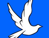 Dibuix Colom de la pau al vol  pintat per NIL PONS