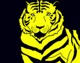 Dibuix Tigre pintat per guillem bardina