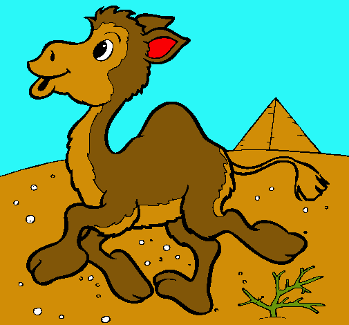 Dibuix Camell pintat per mariona lola