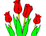 Dibuix Tulipes pintat per  iris