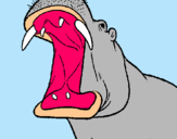 Dibuix Hipopòtam amb la boca oberta pintat per jordi