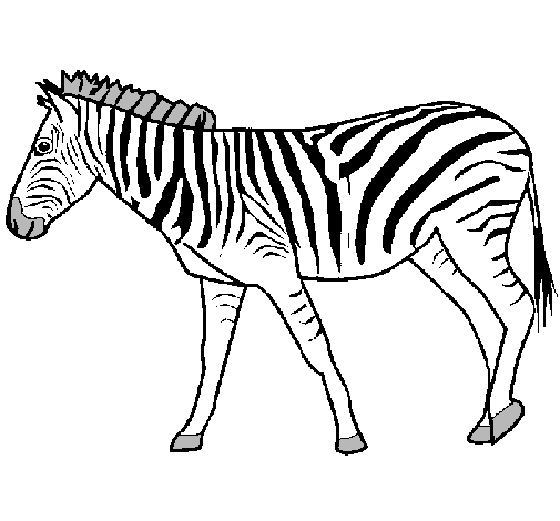 Dibuix Zebra pintat per ALBA
