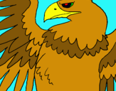 Dibuix Àguila Imperial Romana pintat per agustin borges1