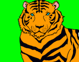 Dibuix Tigre pintat per romàmarquès herreos