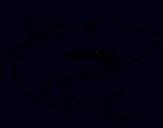 Dibuix Tiburón pintat per tauro del marcel