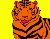 Dibuix Tigre pintat per emma pallares