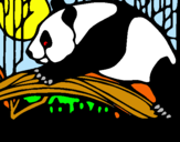 Dibuix Ós panda menjant pintat per eudald olive