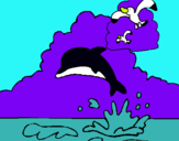 Dibuix Dofí i gavina pintat per isaac mulet