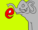 Dibuix Elefant pintat per ERIC M