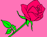 Dibuix Rosa pintat per chaima