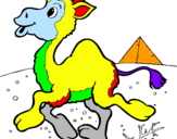 Dibuix Camell pintat per ROGER