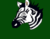 Dibuix Zebra II pintat per daniel m