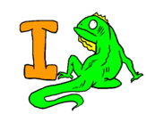 Dibuix Iguana pintat per adgjl