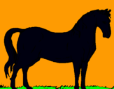 Dibuix Cavall andalús  pintat per Rakii