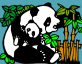 Dibuix Mare Panda pintat per mireia heras pagés
