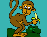 Dibuix Mono pintat per mico