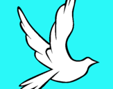Dibuix Colom de la pau al vol  pintat per laurii