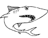 Dibuix Tiburón pintat per SERGEI
