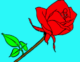 Dibuix Rosa pintat per elia e.m.l.
