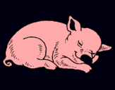 Dibuix Porc dormint pintat per NOA.A.C