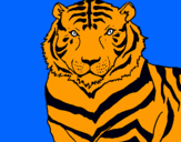 Dibuix Tigre pintat per fran 672770213