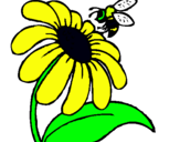 Dibuix Margarida amb abella pintat per marta castanedo