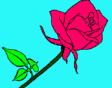 Dibuix Rosa pintat per maria merino mora