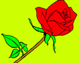 Dibuix Rosa pintat per stefhany 