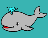 Dibuix Balena expulsant aigua pintat per daNI 2NC