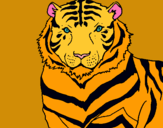 Dibuix Tigre pintat per NOA.A.C