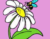 Dibuix Margarida amb abella pintat per SNUPPY