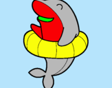 Dibuix Dofí amb flotador pintat per eudald olive domenech