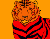 Dibuix Tigre pintat per ian ortega