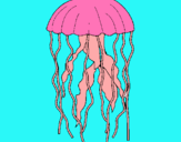 Dibuix Medusa pintat per nuria 