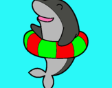 Dibuix Dofí amb flotador pintat per lucia