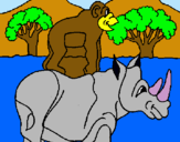 Dibuix Rinoceront i mono pintat per Nil Escolà i Valls