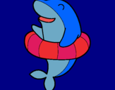 Dibuix Dofí amb flotador pintat per gal.la carreras sala