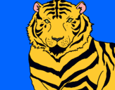Dibuix Tigre pintat per marc suets