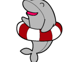 Dibuix Dofí amb flotador pintat per maika  barcala