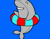 Dibuix Dofí amb flotador pintat per AINA ESCOBET