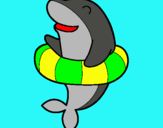 Dibuix Dofí amb flotador pintat per aina marco reverte