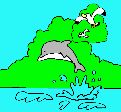 Dibuix Dofí i gavina pintat per aleix