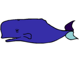 Dibuix Balena blava pintat per snupi